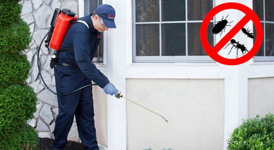Evka 7 Hamam Böceği İlaçlama böcek ilaçlama ve haşere kontrolü — ilaclama-tr.com
